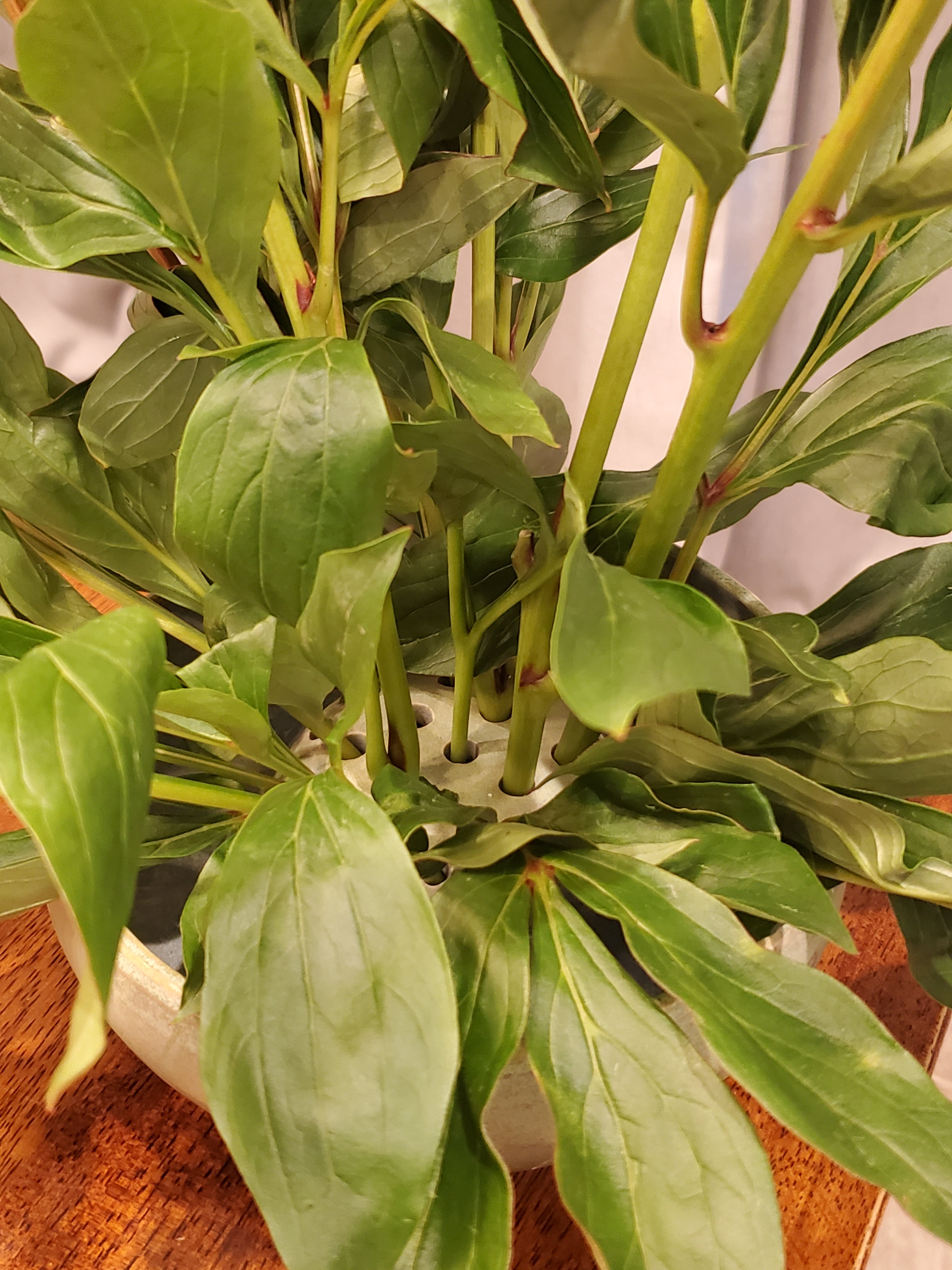 Ikebana Vase