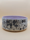 Pet bowl. 4-Cup capacity.
